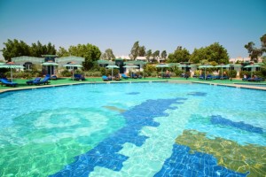 dreampools-6