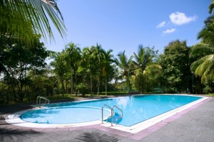 dreampools-8